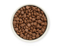 Grandorf Fresh Dog Adult Medium & Maxi Salmon & Sweet Potato для средних и крупных собак с лососем - 10 кг