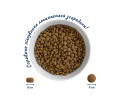 Home Food Cat Adult For Sterilised & Neutered для стерилізованих котів, з куркою - 1,6 кг