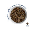 Home Food Dog Adult Mini Hypoallergenic для собак малих порід, з фореллю та рисом - 1,6 кг