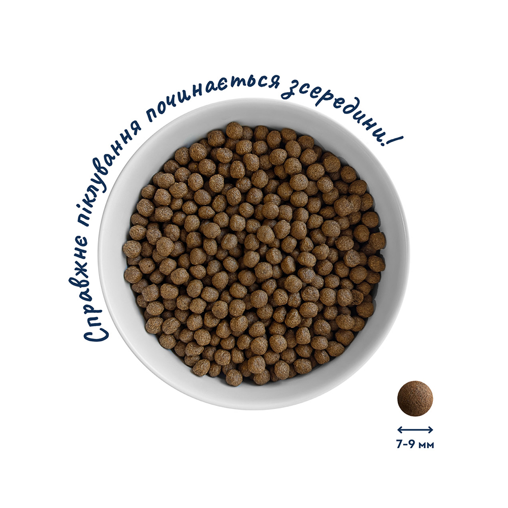 Home Food Dog Adult Mini Hypoallergenic для собак малих порід, з фореллю та рисом - 10 кг