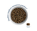 Home Food Dog Adult Medium Hypoallergenic для собак средних пород, с форелью и рисом - 1,6 кг