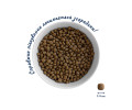 Home Food Dog Low-Grain For Active Adult Mini & Junior для собак малых пород, с ягненком - 700 г