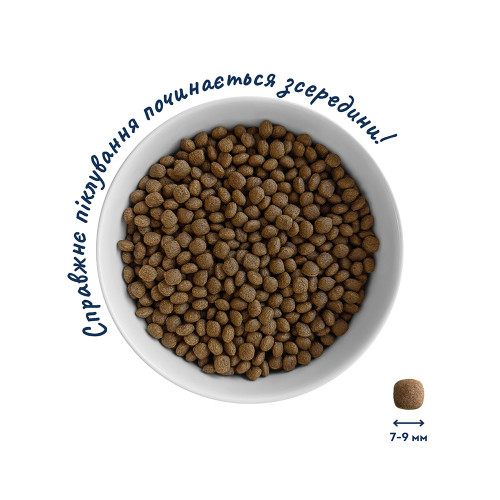 Home Food Dog Low-Grain For Active Adult Mini & Junior для собак малых пород, с ягненком - 700 г
