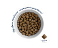 Home Food Dog Adult Medium & Maxi Hypoallergenic GF для средних и больших собак с уткой - 1,6 кг