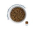 Home Food Cat For British & Scottish для британських та шотландських котів, з індичкою - 1 кг