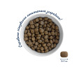 Home Food Hypoallergenic For Puppies для щенков средних и крупных пород, с форелью - 10 кг
