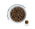 Home Food Dog Adult Maxi Hypoallergenic для собак больших пород, с форелью и рисом - 10 кг