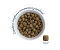 Home Food Dog Adult Maxi Healthy Skin & Shiny Coat для собак больших пород, с лососем - 3 кг