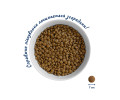 Home Food For Kittens 1-12 Months сухой корм для котят, с курицей - 400 г