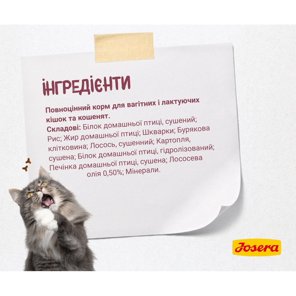 Josera Kitten корм для котят, беременных и кормящих кошек - 2 кг