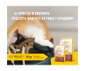 Josera Kitten корм для котят, беременных и кормящих кошек - 10 кг