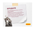 Josera Kitten корм для котят, беременных и кормящих кошек - 10 кг