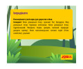 Josera JosiDog Adult Sensitive корм для собак с чувствительным пищеварением - 15 кг