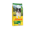 Josera Festival корм для вибагливих собак, з лососем - 12,5 кг