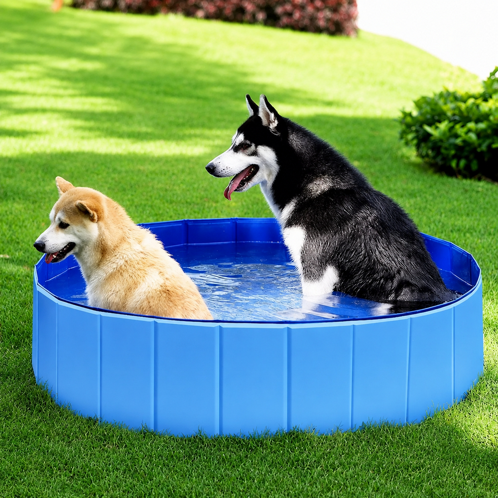 Papillon басейн для собак та котів - 120 x 30 см