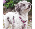 Max & Molly H-Harness Leopard Pink H-подібна шлея для собак, принт леопард - M