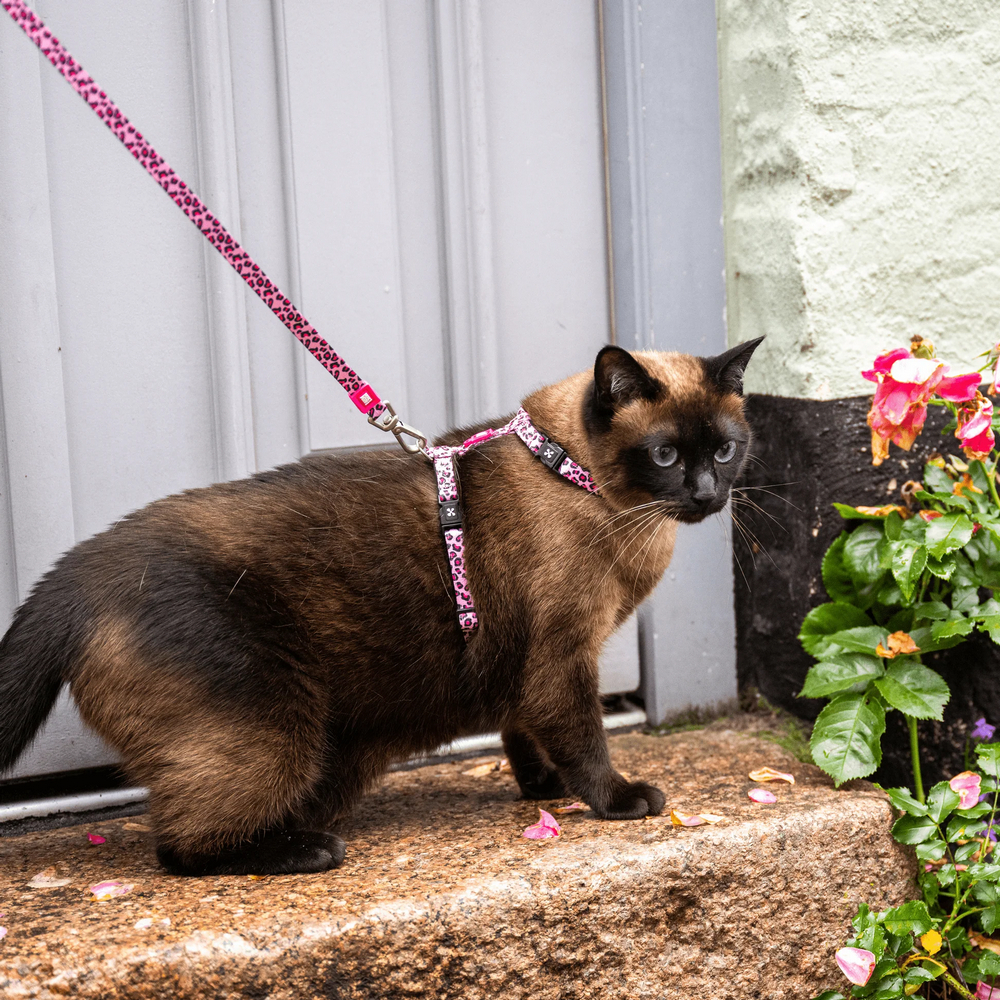 Max & Molly Cat Leopard Pink шлея та повідець для котів, принт леопард - one size