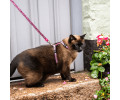Max & Molly Cat Leopard Pink шлея та повідець для котів, принт леопард - one size
