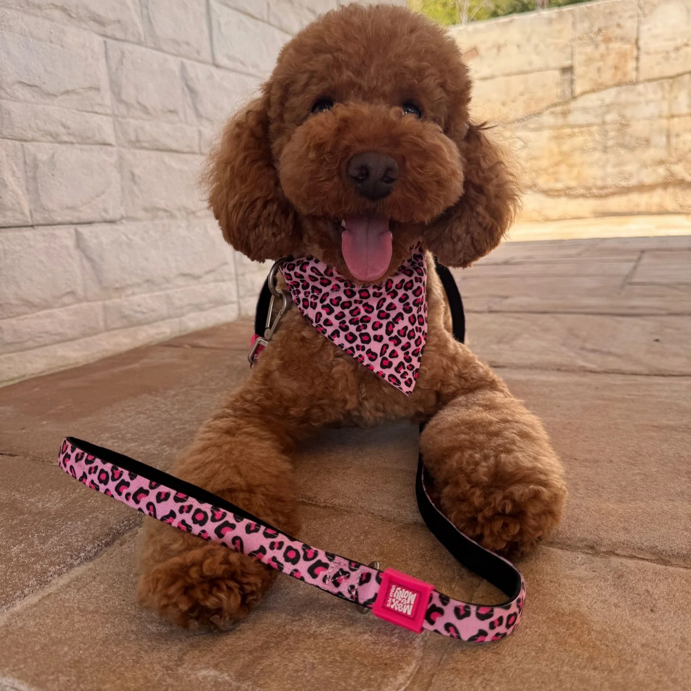 Max & Molly Short Leash Leopard Pink короткий повідець, принт леопард - S