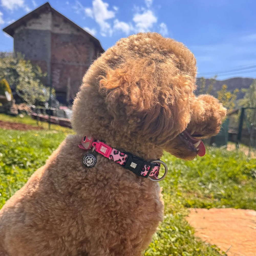 Max & Molly Smart ID Leopard Pink нашийник для собак, принт леопард - XS