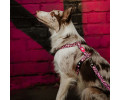 Max & Molly Short Leash Leopard Pink короткий повідець, принт леопард - М