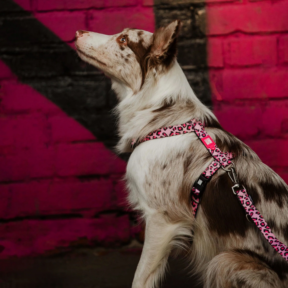 Max & Molly H-Harness Leopard Pink H-подібна шлея для собак, принт леопард - L