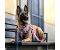 Max & Molly H-Harness Leopard Pink H-подібна шлея для собак, принт леопард - L