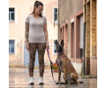 Max & Molly H-Harness Leopard Pink H-подібна шлея для собак, принт леопард - L