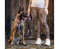 Max & Molly Smart ID Leopard Pink нашийник для собак, принт леопард - L