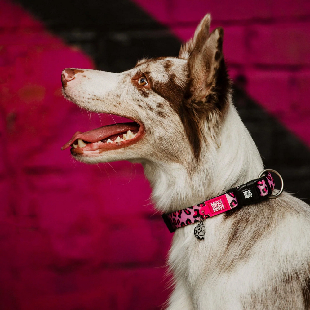 Max & Molly Smart ID Leopard Pink нашийник для собак, принт леопард - L