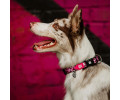 Max & Molly Smart ID Leopard Pink нашийник для собак, принт леопард - L