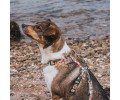 Max & Molly H-Harness Watermelon H-подібна шлея для собак, принт кавун - M