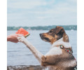 Max & Molly H-Harness Watermelon H-подібна шлея для собак, принт кавун - M