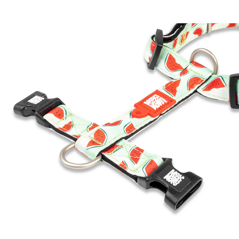 Max & Molly H-Harness Watermelon H-подібна шлея для собак, принт кавун - L