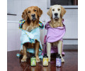 Max & Molly Bath Robe Leopard Pink халат для собак, принт леопард - L