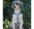 Max & Molly H-Harness Little Monsters H-подібна шлея для собак, принт монстри - M