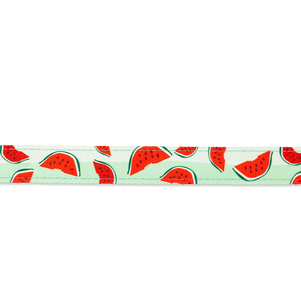 Max & Molly Short Leash Watermelon короткий повідець, принт кавун -  S