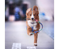 Max & Molly H-Harness Little Monsters H-подібна шлея для собак, принт монстри - L