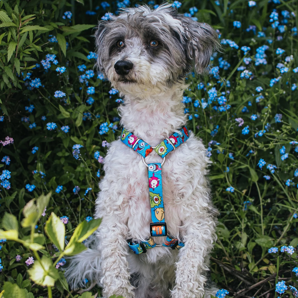 Max & Molly H-Harness Little Monsters H-подібна шлея для собак, принт монстри - L