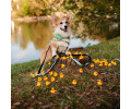 Max & Molly H-Harness Ducklings H-подібна шлея для собак, принт каченята - L