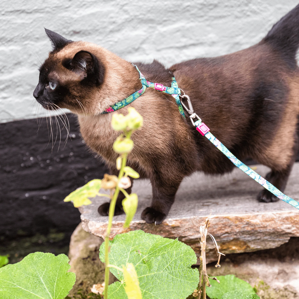 Max & Molly Cat Tropical шлея та повідець для котів, принт тропіки - one size