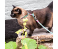 Max & Molly Cat Tropical шлея та повідець для котів, принт тропіки - one size