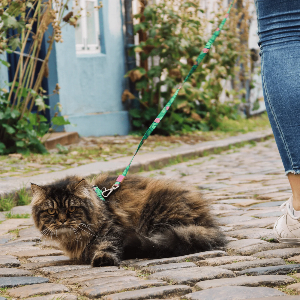 Max & Molly Cat Tropical шлея та повідець для котів, принт тропіки - one size