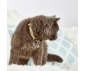 Max & Molly Smart ID Cat Monkey Maniac нашийник для котів, принт мавпячий маніяк - one size