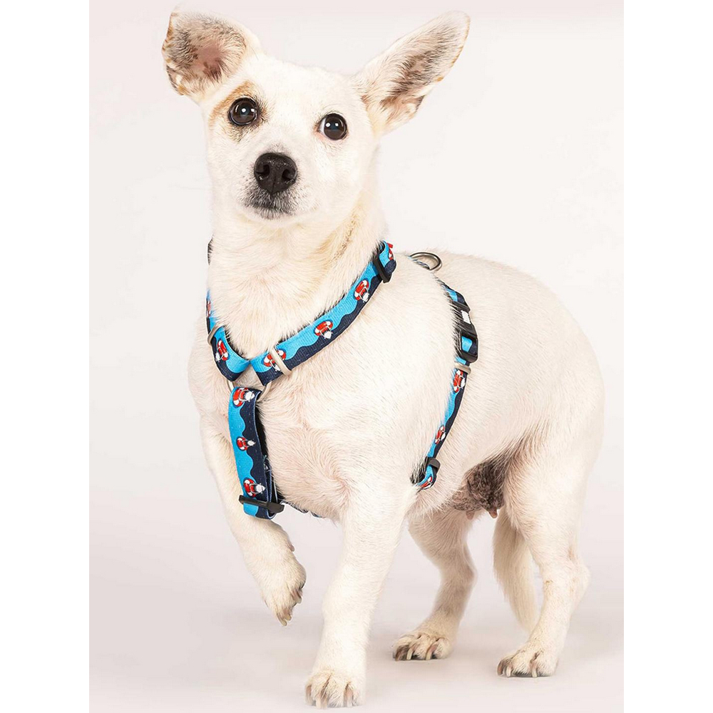 Max & Molly H-Harness Frenzy the Shark H-подібна шлея для собак, принт акула - L