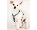 Max & Molly H-Harness Frenzy the Shark H-подібна шлея для собак, принт акула - L