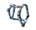 Max & Molly H-Harness Frenzy the Shark H-подібна шлея для собак, принт акула - L