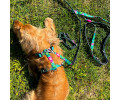 Max & Molly H-Harness Tropical H-подібна шлея для собак, принт тропіки - S