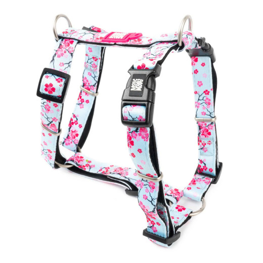 Max & Molly H-Harness Cherry Bloom H-подібна шлея для собак, принт вишневий цвіт - L