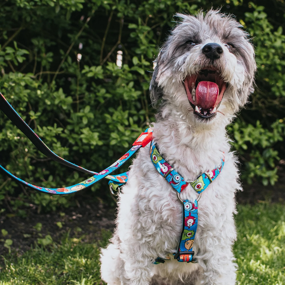 Max & Molly Multi-Function Leash Little Monsters багатофункціональний повідець, принт монстри - M